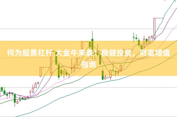 何为股票杠杆 大金牛来袭！稳健投资，财富增值指南