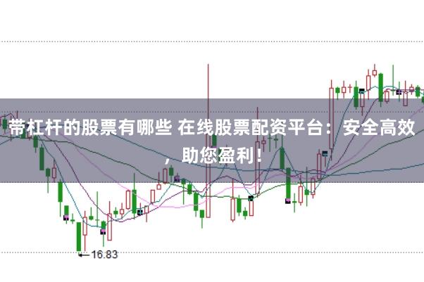 带杠杆的股票有哪些 在线股票配资平台：安全高效，助您盈利！