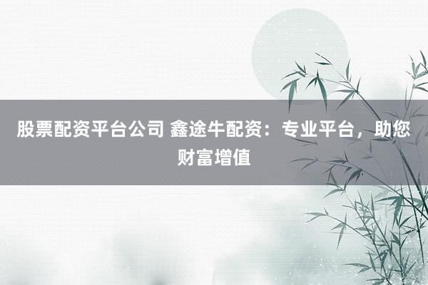 股票配资平台公司 鑫途牛配资：专业平台，助您财富增值
