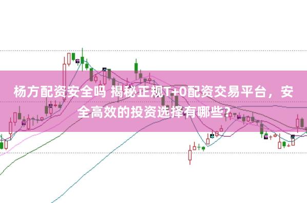 杨方配资安全吗 揭秘正规T+0配资交易平台，安全高效的投资选择有哪些？
