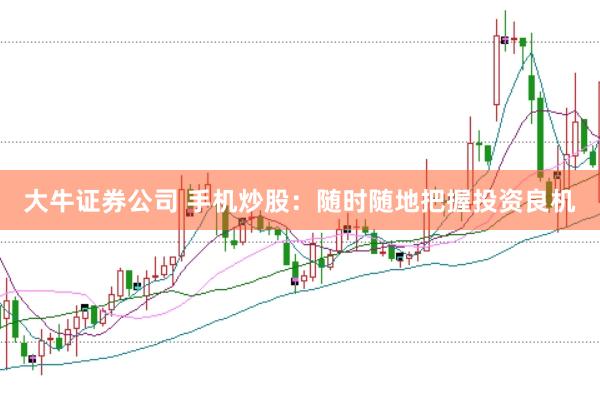 大牛证券公司 手机炒股：随时随地把握投资良机