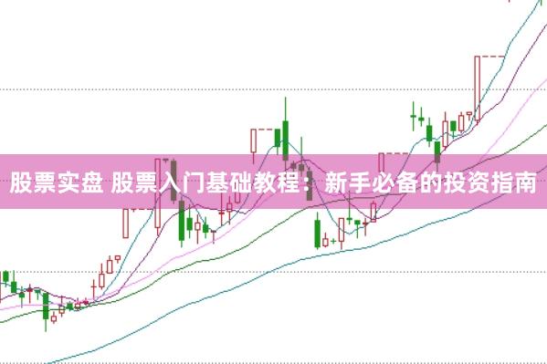 股票实盘 股票入门基础教程：新手必备的投资指南