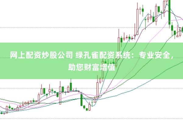 网上配资炒股公司 绿孔雀配资系统：专业安全，助您财富增值