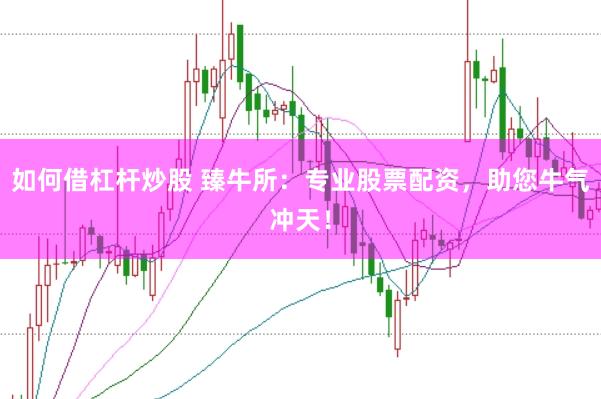 如何借杠杆炒股 臻牛所：专业股票配资，助您牛气冲天！