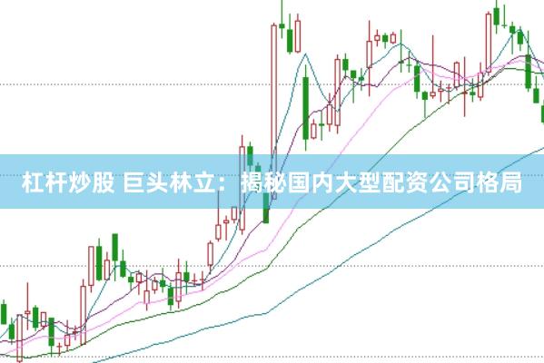 杠杆炒股 巨头林立：揭秘国内大型配资公司格局