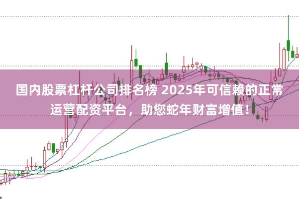 国内股票杠杆公司排名榜 2025年可信赖的正常运营配资平台，助您蛇年财富增值！
