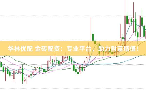 华林优配 金砖配资：专业平台，助力财富增值！