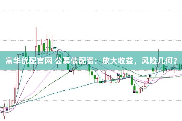 富华优配官网 公募债配资：放大收益，风险几何？