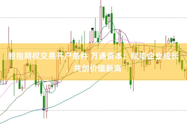 股指期权交易开户条件 万通资本：赋能企业成长，共创价值新高