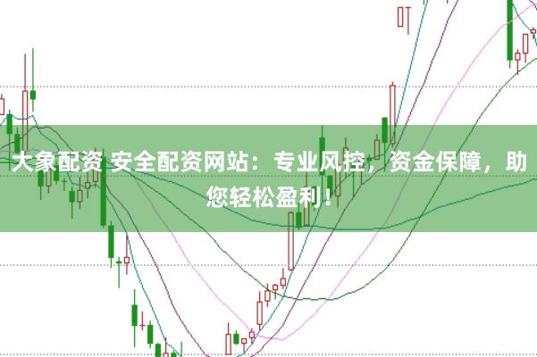 大象配资 安全配资网站：专业风控，资金保障，助您轻松盈利！