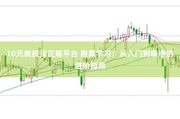 10元微投资正规平台 股票学习：从入门到精通的进阶指南