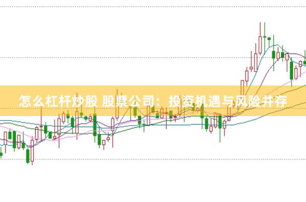 怎么杠杆炒股 股票公司:投资机遇与风险并存