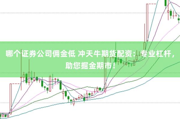 哪个证券公司佣金低 冲天牛期货配资:专业杠杆,助您掘金期市!