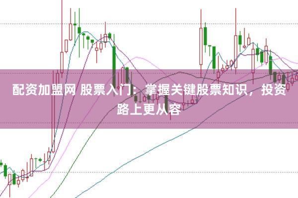 配资加盟网 股票入门:掌握关键股票知识,投资路上更从容