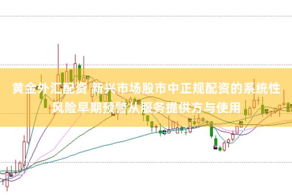 黄金外汇配资 新兴市场股市中正规配资的系统性风险早期预警从服务提供方与使用