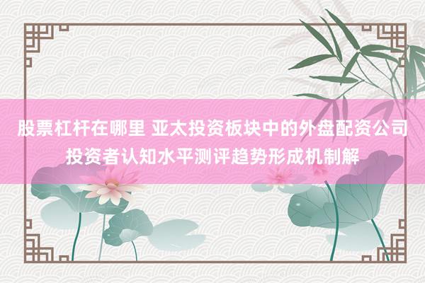 股票杠杆在哪里 亚太投资板块中的外盘配资公司投资者认知水平测评趋势形成机制解