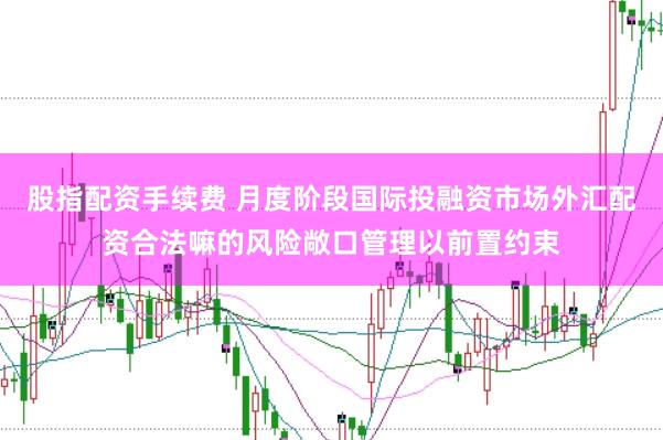 股指配资手续费 月度阶段国际投融资市场外汇配资合法嘛的风险敞口管理以前置约束