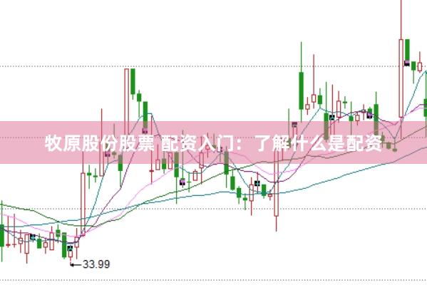牧原股份股票 配资入门:了解什么是配资
