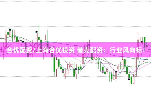 合优配资/上海合优投资 借壳配资：行业风向标！