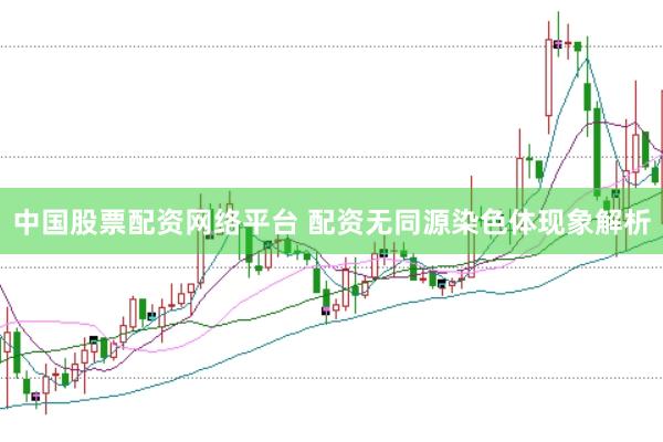 中国股票配资网络平台 配资无同源染色体现象解析