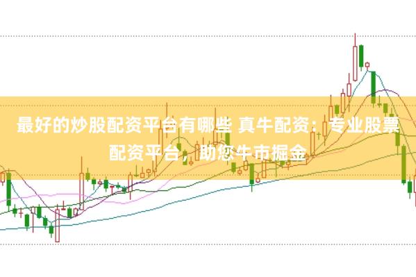 最好的炒股配资平台有哪些 真牛配资：专业股票配资平台，助您牛市掘金