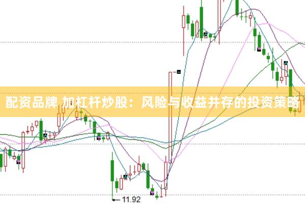 配资品牌 加杠杆炒股：风险与收益并存的投资策略